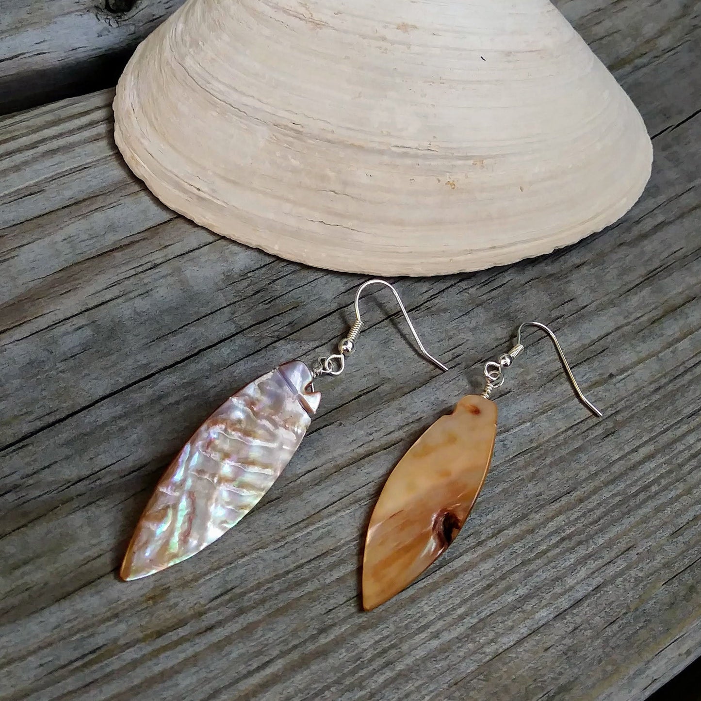 Upcycled Long Shell Dangle Earrings on Silver