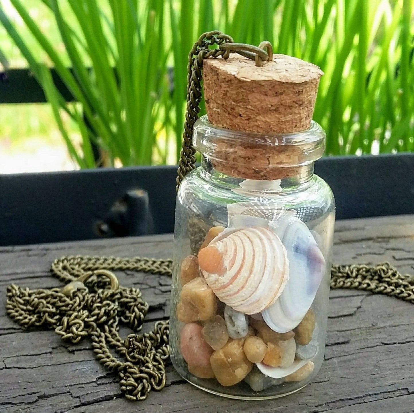 Beach in a Bottle Seashell Necklace