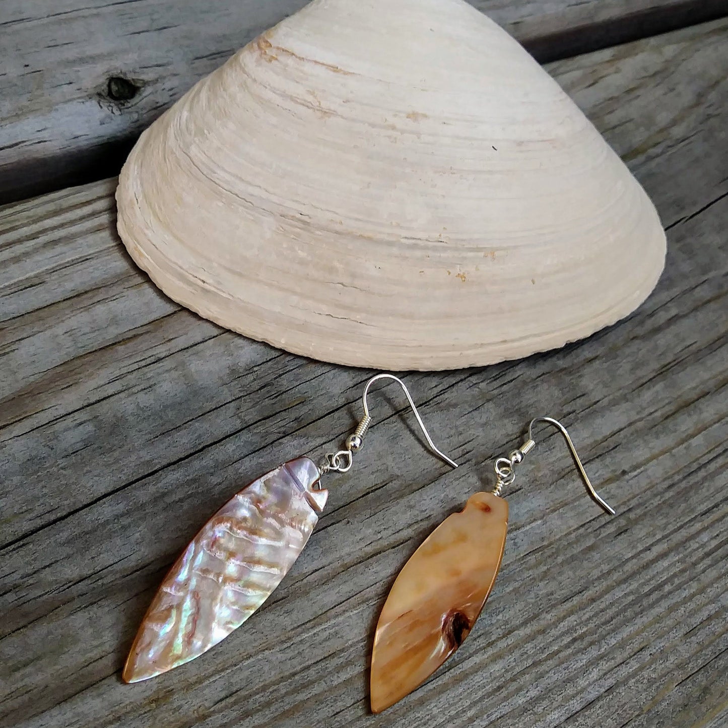 Upcycled Long Shell Dangle Earrings on Silver