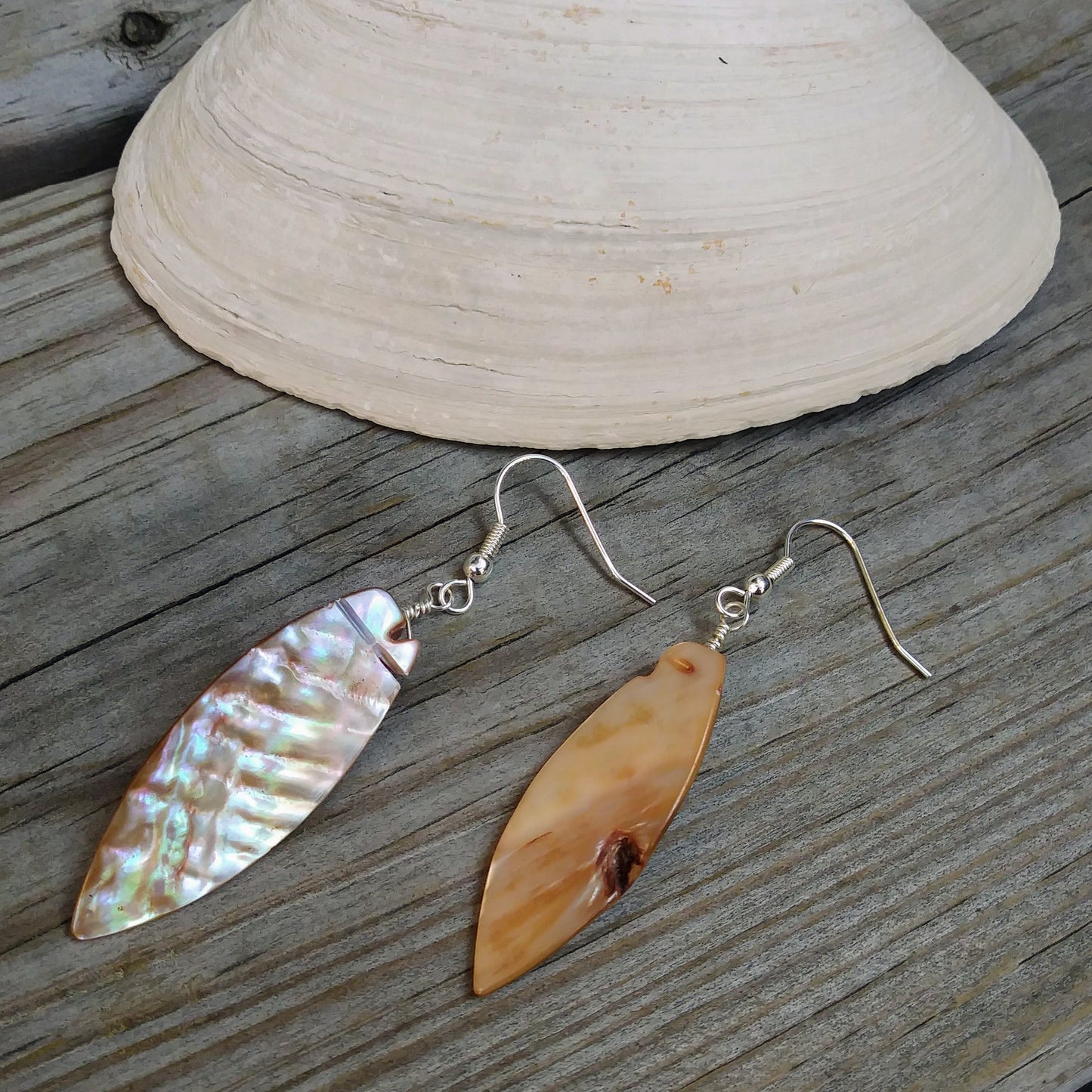 Upcycled Long Shell Dangle Earrings on Silver